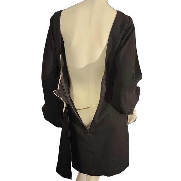 Size 4 BCBG Max Azria Abigayle LBD W/Beaded Dove Customized W/Embroidery Birds - Picture 7 of 13